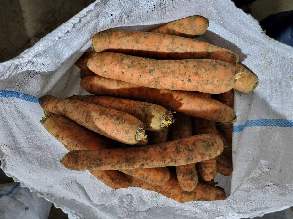 marcovi de vanzare cat 1