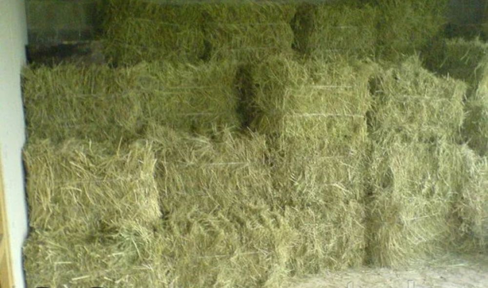 Продам сено в тюках