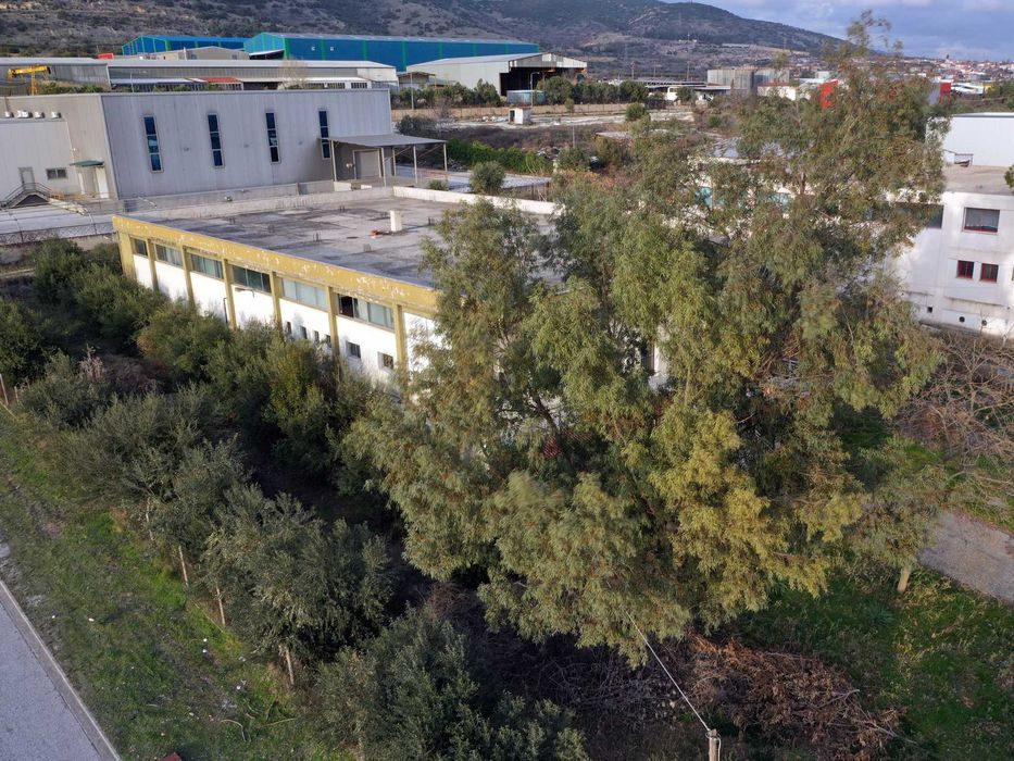 Продава се промишлен обект от 935 кв.м. в VI.PE. Кавала (код 4693)