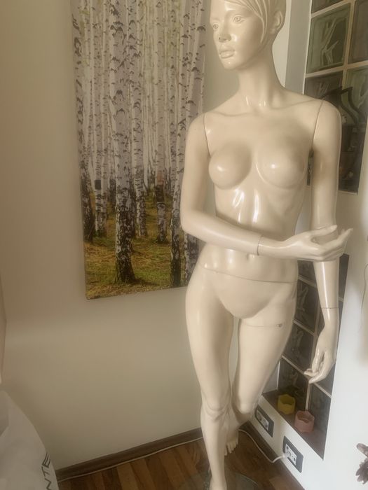 mobilier magazin