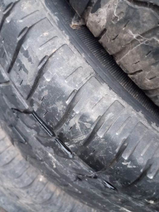 продам резину летнюю