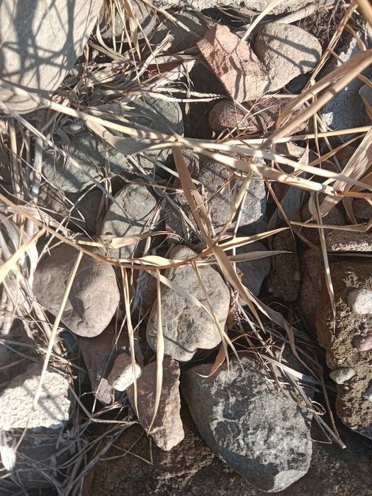 Камень бутый  5000тг