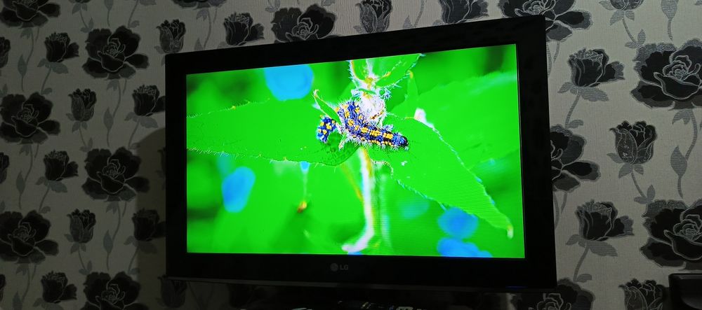 Телевизор LG 32 дюйма корейский