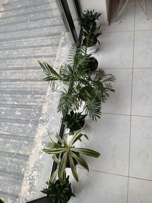 Ликвидация товаров для офиса