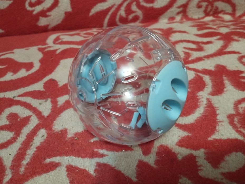 Шары прогулочные