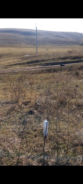 Участок.. батан нурплазза