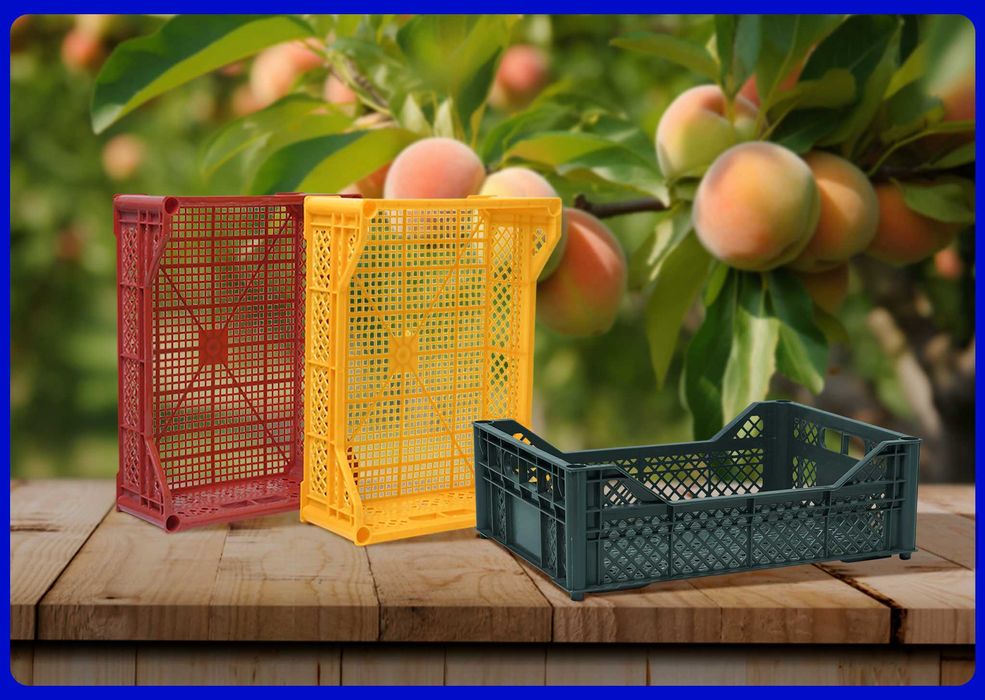 Пластиковый ящик для салата айсберг | овощной контейнер tara