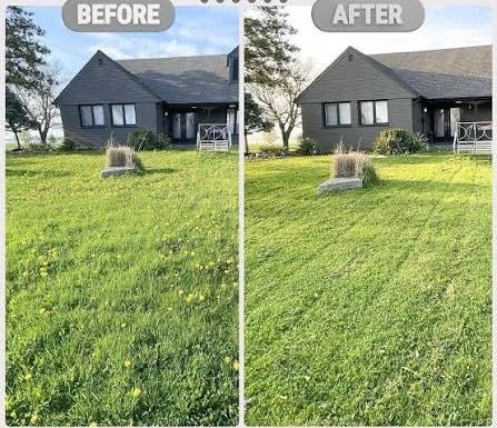 Услуги за почистване на дворове и покриви