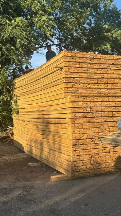 Лес агаш Сртопила балка