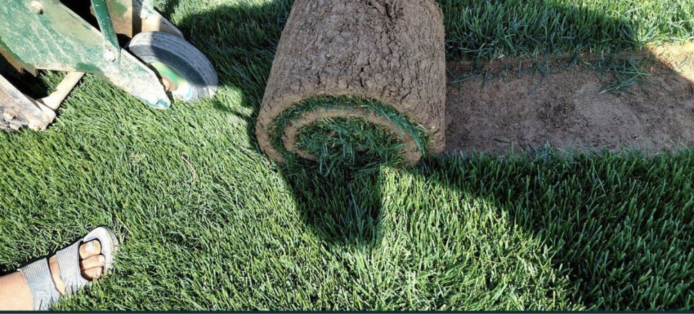 Gazon uz  1 qoʻl dexqondan 1 chi qo'l