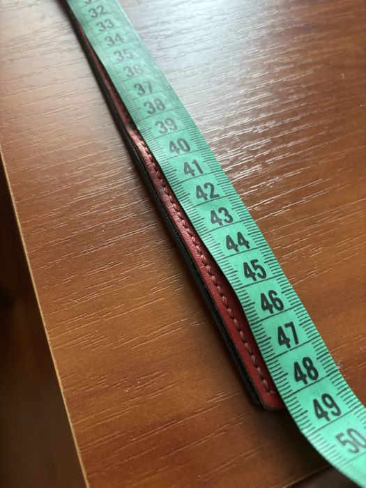 Ошейник, шлейка доя собак