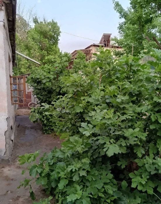 Срочно продаётся дом 2,5 сотки,Каримбек