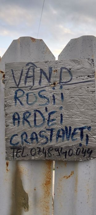 Vând roșii ,ardei