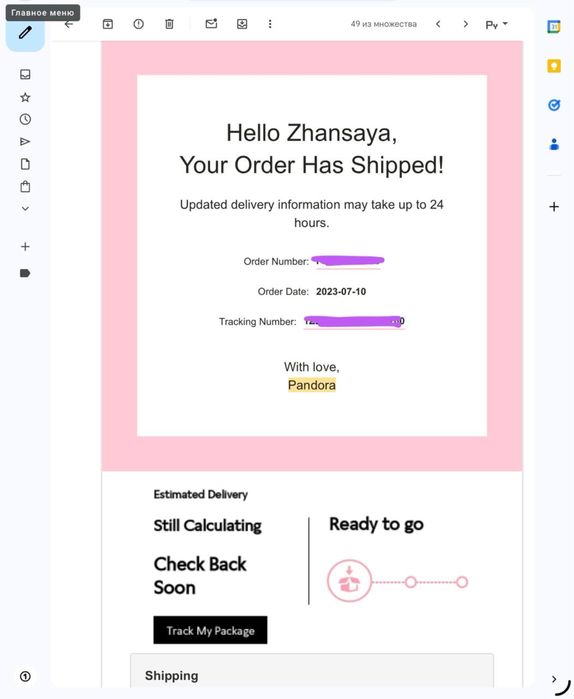 браслет pandora (пандора)
