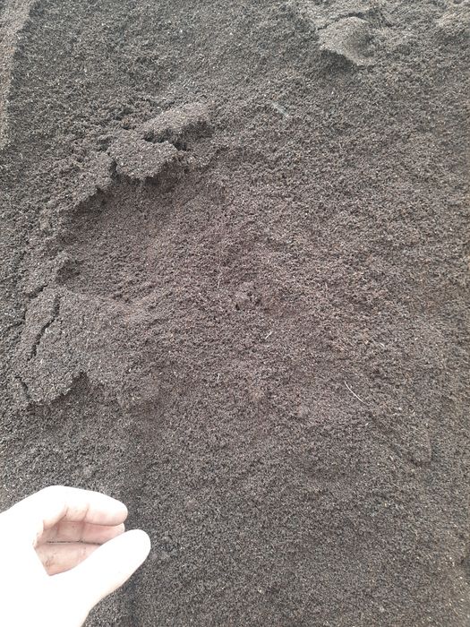 Biogummus sotiladi