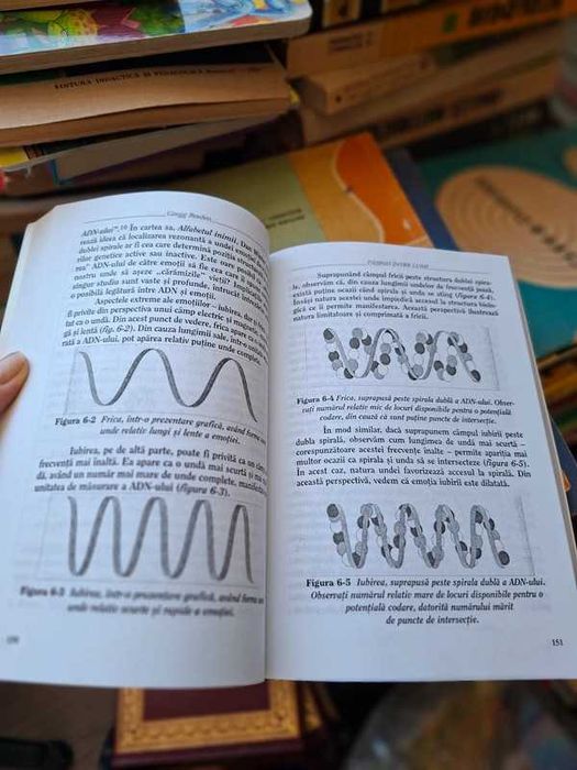 Pasind intre lumi. Știința compasiunii - Gregg Braden
