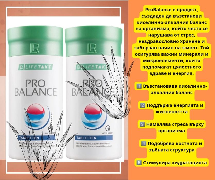 Гъба Рейши, Про12, Про Баланс, Коластра