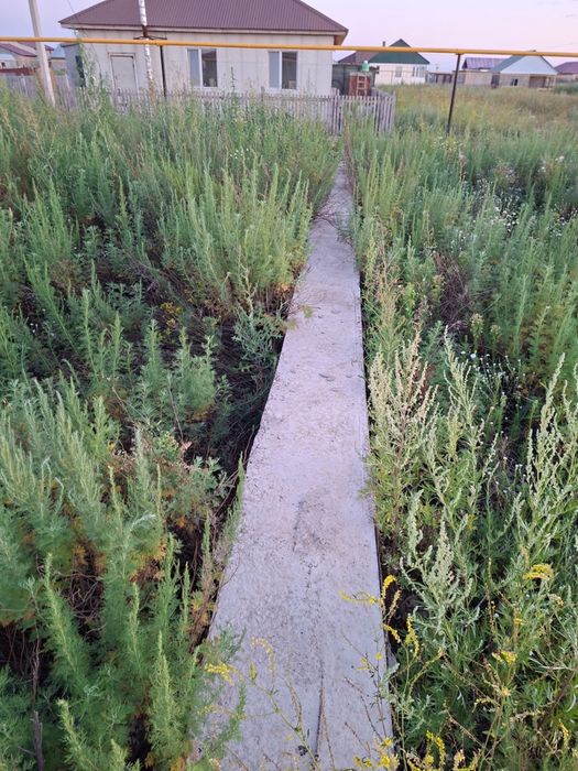 Продам землю 6 соток. Талапкер