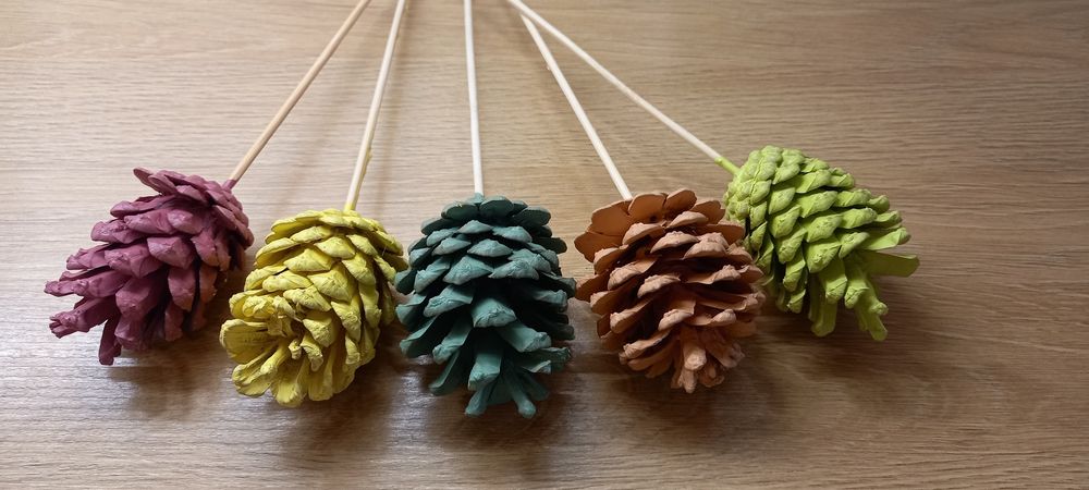 Шишарки за декорация