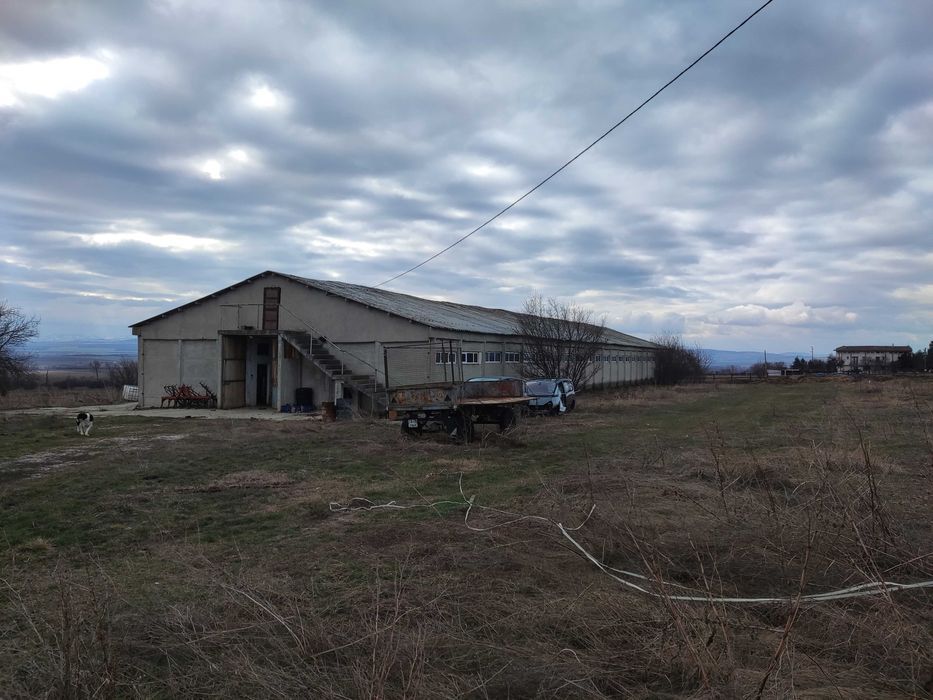 Конна база в с. Богьовци София област