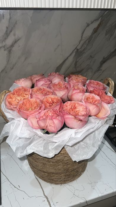 цветы шымкент 5000тг