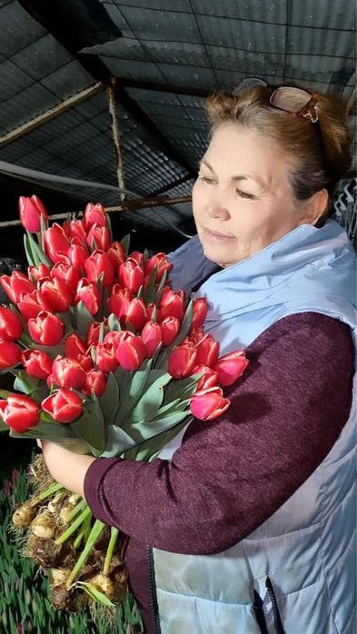 Тюльпаны оптом и оптом