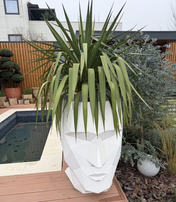 Ghiveci minimalist/ chip uman / fata umana