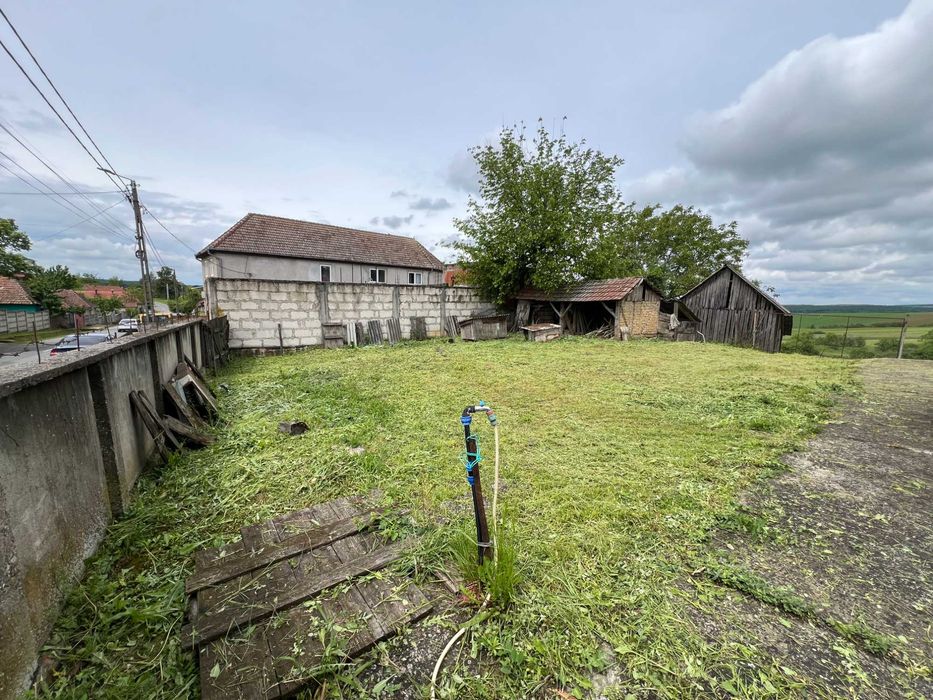 Vand casa in Tasad cu teren de 5793mp la asfalt, front stradal de 30m