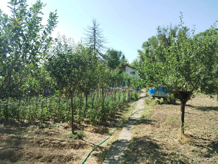 Продава се Къща в с. Ново Янково, Област Шумен - 40 кв.м за 638 €/кв.м - Снимка #3