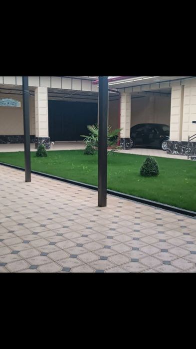 Gazon landshaft palif sistema