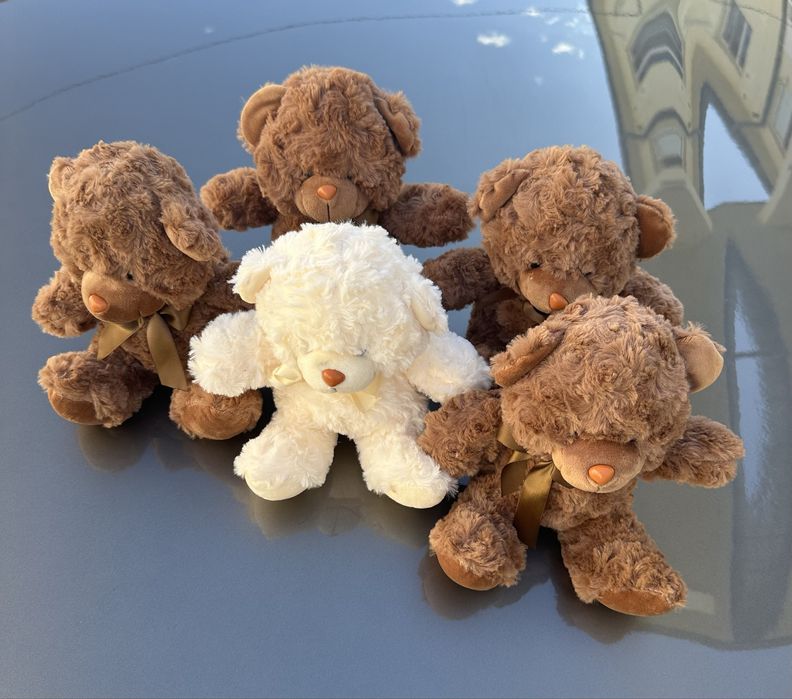 Ursuleti plus 20 cm decoratiuni, evenimente, panou foto