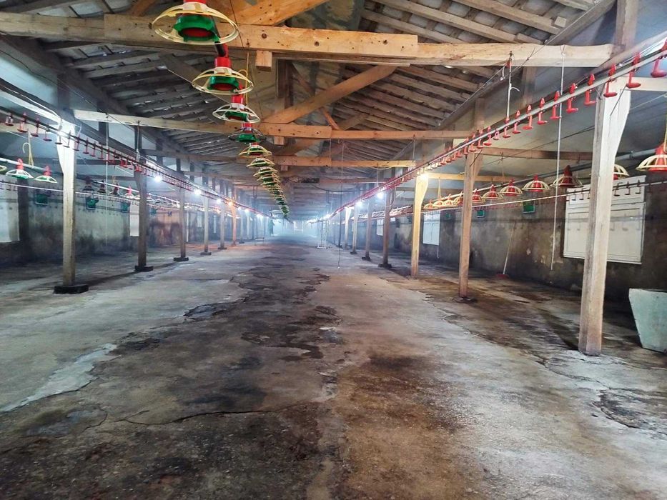 Продава се Склад в Търговище, Въбел - 1216 кв.м за 286 €/кв.м - Снимка #4