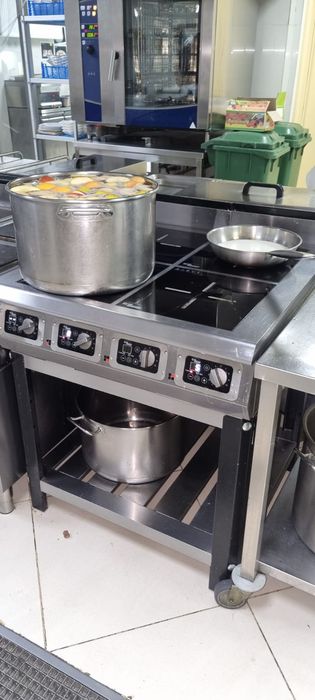 Ремонт Индукционных плит