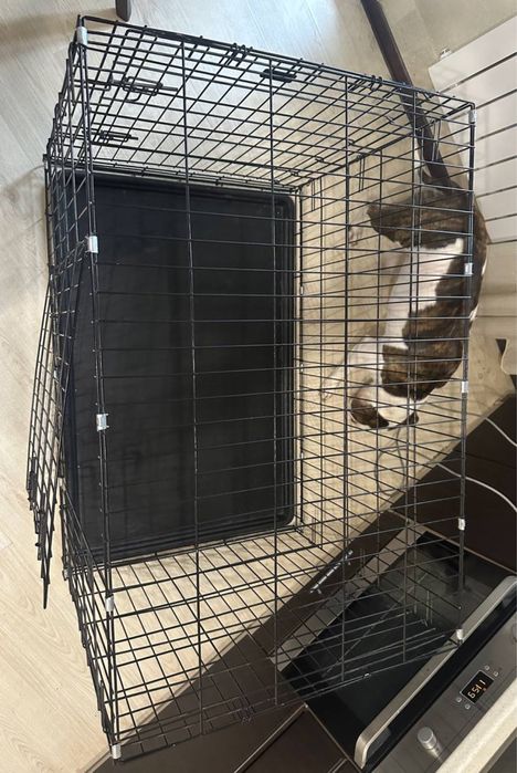 клетка, вольер для собак