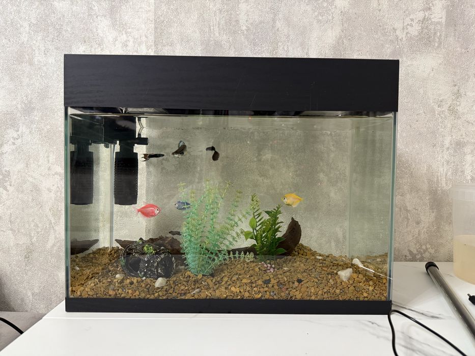 Аквариум 30 литров