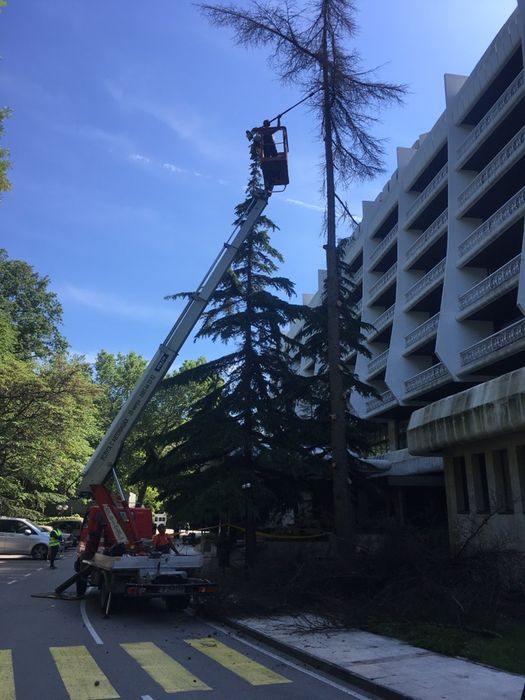 Градински услуги, рязане на дървета и косене на трева