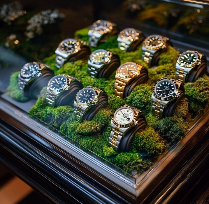 Оформление витрин магазинов, бутиков стабилизированными растениями