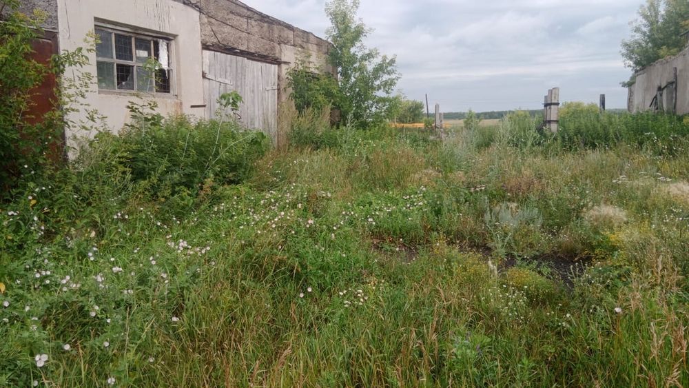 Продам животноводческую базу