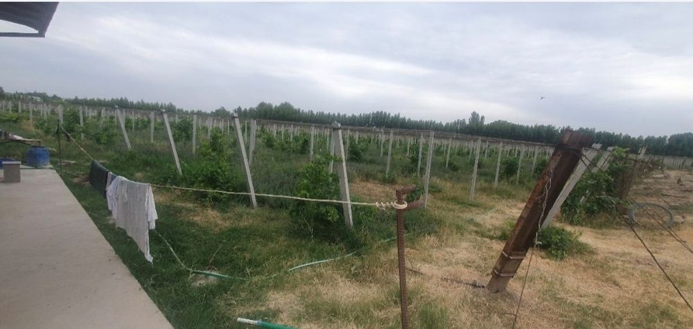 Ер сотилади арзон срочно