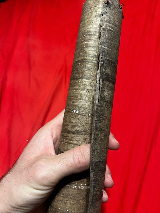 Египетски Папирус