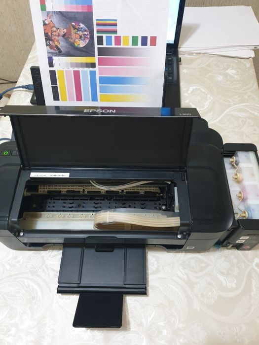 Принтер струйный EPSON L300