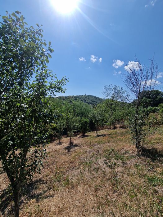 Teren 981 m² –  – lângă Dedeman / Jandarmerie – drumul spre biserică