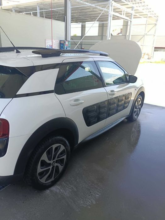 Vand c4 Cactus stare f buna