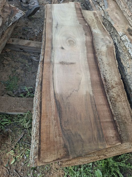 Слэбы орех торцевые спилы орех