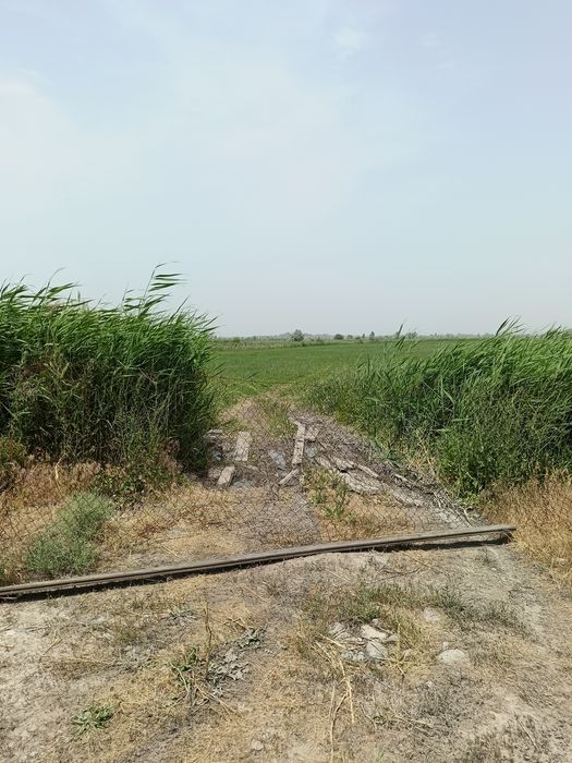 Продам участок КХ!