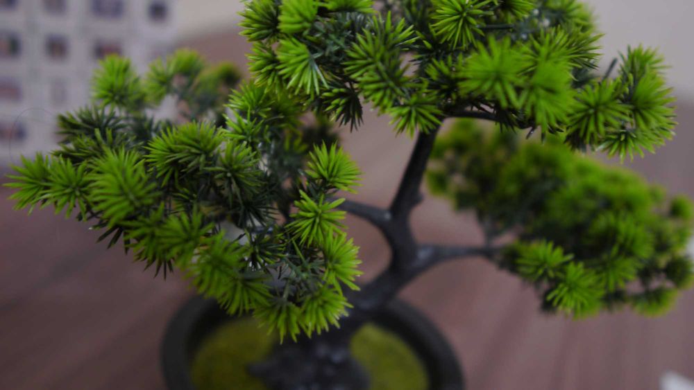 Фотоаппарат Panasonic DMC-GH2