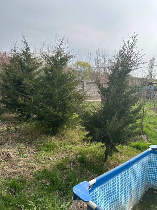 Sotiladi holati yengi pishiq g’ishtdan qurilgan