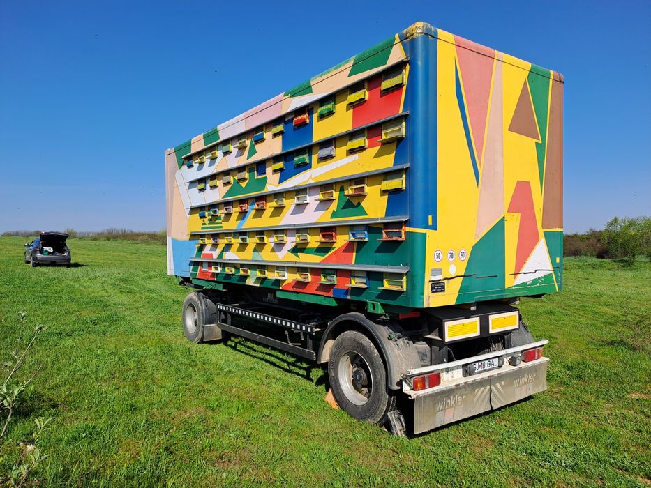 Vand miere de poliflora si salcam