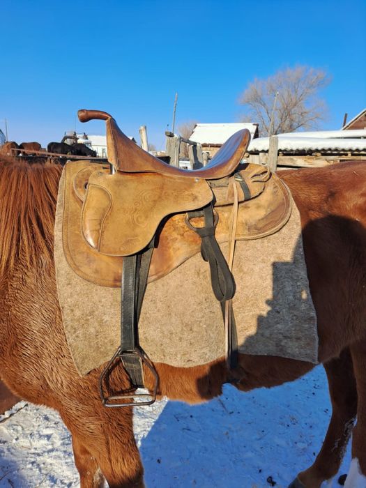 Ертокым ат әбзелдері