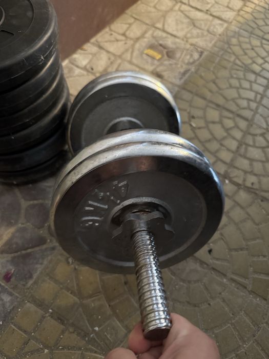 Gantera 33kg discuri